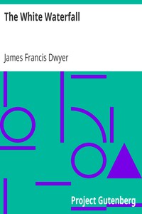 The White Waterfall by James Francis Dwyer