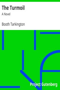 The Turmoil: A Novel by Booth Tarkington