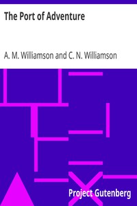 The Port of Adventure by A. M. Williamson and C. N. Williamson