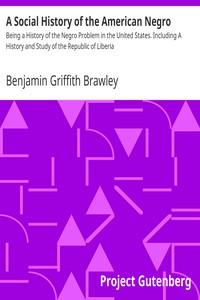 A Social History of the American Negro by Benjamin Griffith Brawley