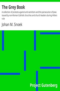 The Grey Book by Johan M. Snoek