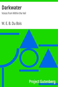 Darkwater: Voices from Within the Veil by W. E. B. Du Bois