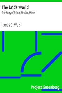 The Underworld by James C. Welsh