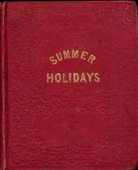 The Summer Holidays: A Story for Children by Amerel