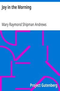 Joy in the Morning by Mary Raymond Shipman Andrews