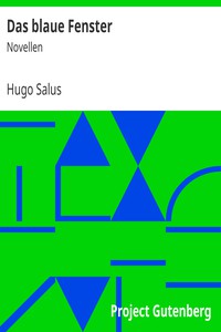 Das blaue Fenster: Novellen by Hugo Salus