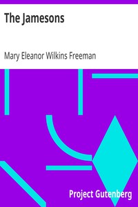 The Jamesons by Mary Eleanor Wilkins Freeman