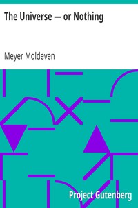 The Universe — or Nothing by Meyer Moldeven