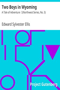 Two Boys in Wyoming: A Tale of Adventure by Edward Sylvester Ellis