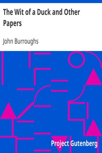 The Wit of a Duck and Other Papers by John Burroughs