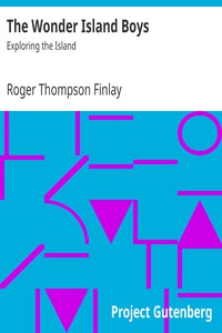 The Wonder Island Boys: Exploring the Island by Roger Thompson Finlay