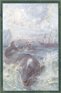 Fighting the Whales by R. M. Ballantyne