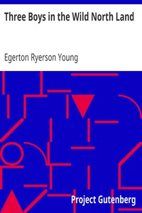 Three Boys in the Wild North Land by Egerton Ryerson Young