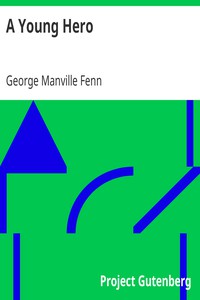 A Young Hero by George Manville Fenn