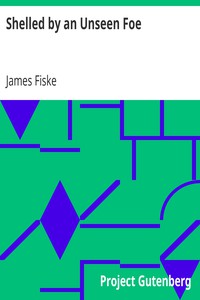 Shelled by an Unseen Foe by James Fiske