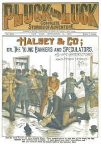 Halsey &amp; Co. by H. K. Shackleford