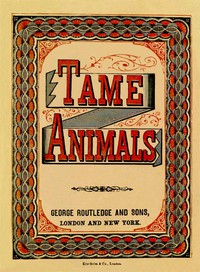 Tame Animals by Anonymous