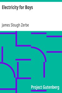 Electricity for Boys by James Slough Zerbe