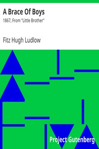 A Brace Of Boys by Fitz Hugh Ludlow