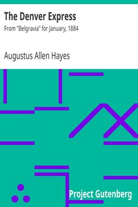 The Denver Express by Augustus Allen Hayes