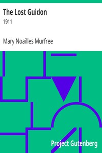 The Lost Guidon by Mary Noailles Murfree