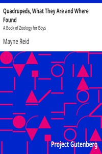 Quadrupeds, What They Are and Where Found: A Book of Zoology for Boys by Mayne Reid