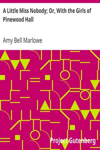 A Little Miss Nobody; Or, With the Girls of Pinewood Hall by Amy Bell Marlowe