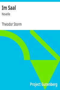 Im Saal: Novelle by Theodor Storm