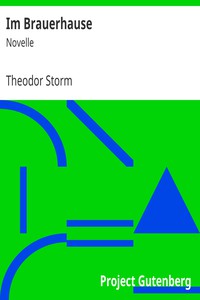 Im Brauerhause: Novelle by Theodor Storm