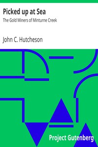 Picked up at Sea by John C. Hutcheson