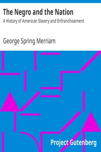 The Negro and the Nation by George Spring Merriam