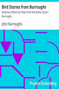 Bird Stories from Burroughs by John Burroughs