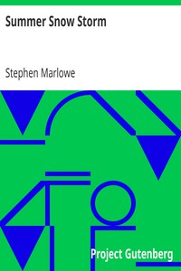 Summer Snow Storm by Stephen Marlowe