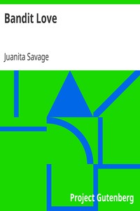 Bandit Love by Juanita Savage