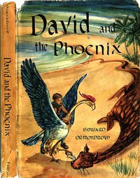 David and the Phoenix by Edward Ormondroyd