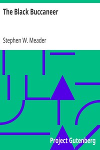 The Black Buccaneer by Stephen W. Meader