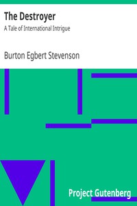 The Destroyer: A Tale of International Intrigue by Burton Egbert Stevenson