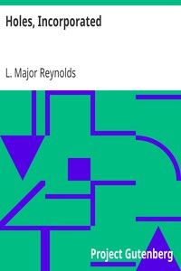 Holes, Incorporated by L. Major Reynolds