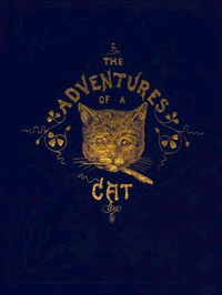 The Adventures of a Cat, and a Fine Cat Too! by Alfred Elwes