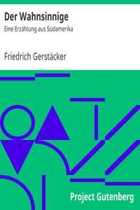 Der Wahnsinnige: Eine Erzählung aus Südamerika by Friedrich Gerstäcker