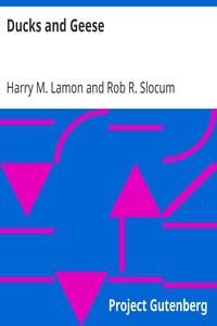 Ducks and Geese by Harry M. Lamon and Rob R. Slocum