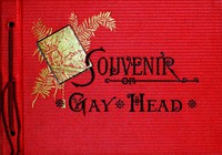 Souvenir of Gay Head: Indelible Photographs by J. N. Chamberlain