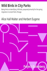 Wild Birds in City Parks by Alice Hall Walter and Herbert Eugene Walter