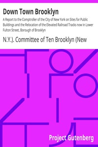 Down Town Brooklyn by N.Y.). Committee of Ten Brooklyn (New York