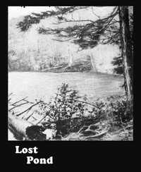 Lost Pond by Henry Abbott