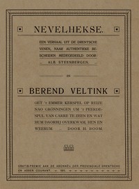 Nevelhekse by Albertus Alidus Steenbergen