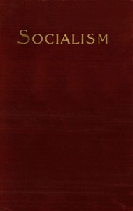 Socialism and the Social Movement in the 19th Century by Werner Sombart