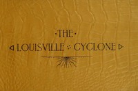 Louisville, Ky. after the Cyclone, March 27, 1890 by E. Klauber