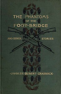 The Phantoms of the Foot-Bridge, and Other Stories by Mary Noailles Murfree