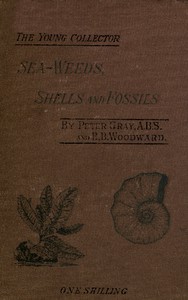 Sea-Weeds, Shells and Fossils by Peter Gray and B. B. Woodward